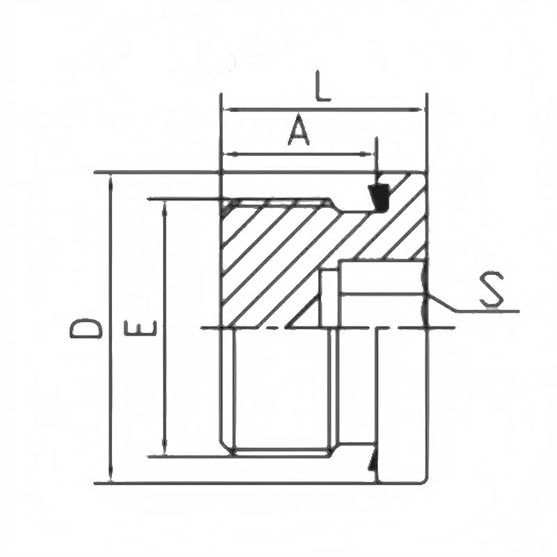 BSP Male Captive Seal Internal Hex Plug